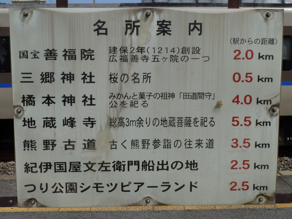 P1010937_mid.jpg