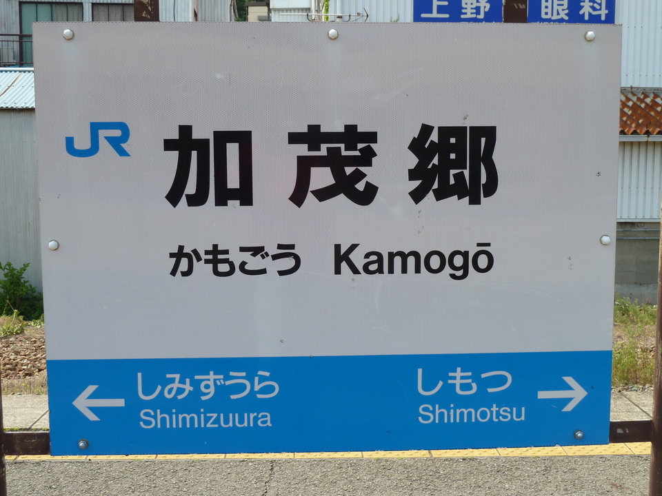 P1010938_mid.jpg