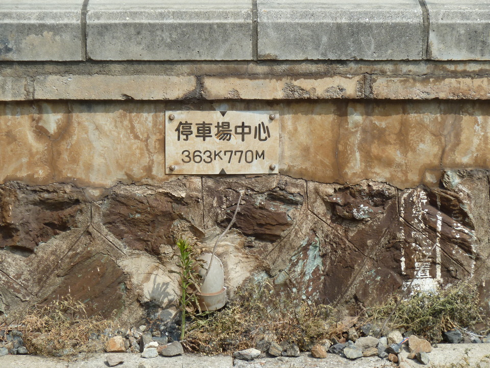 P1010939_mid.jpg