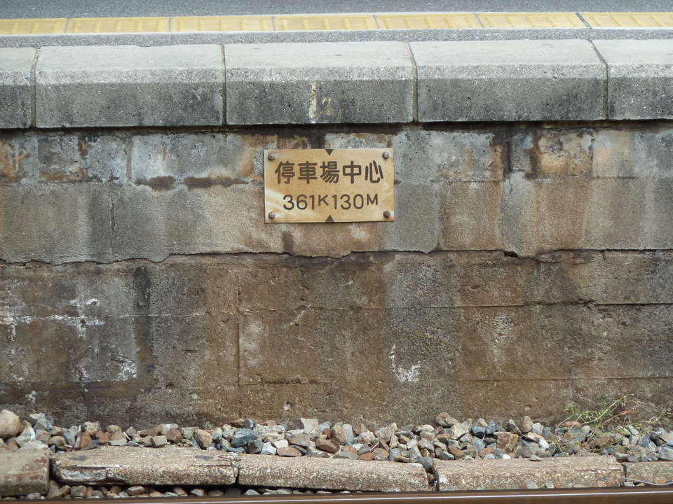 P1010950_mid.jpg