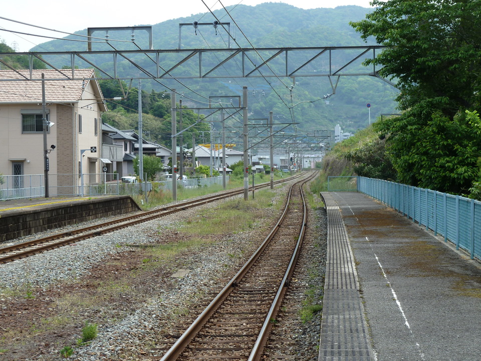 P1010954_mid.jpg