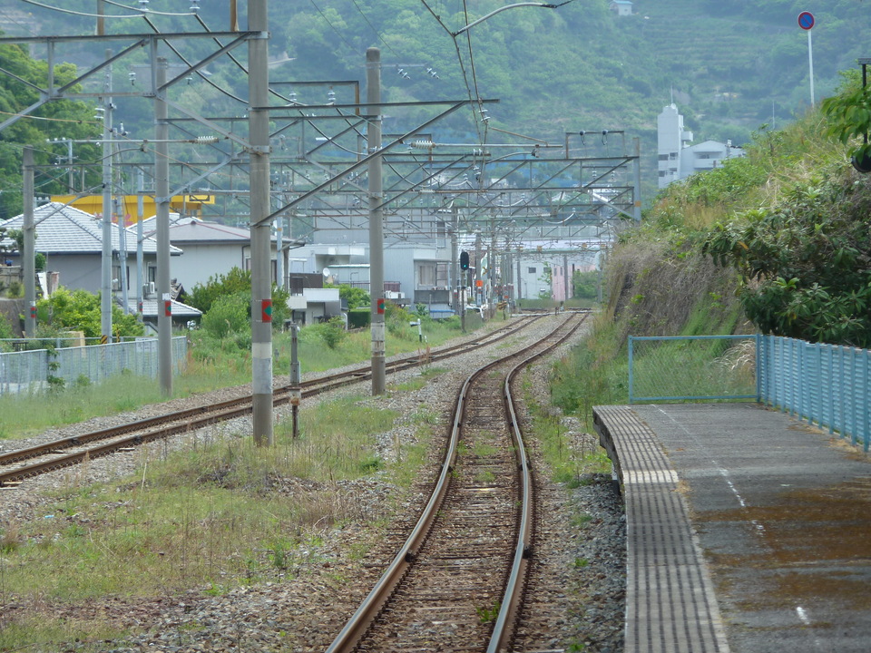 P1010955_mid.jpg