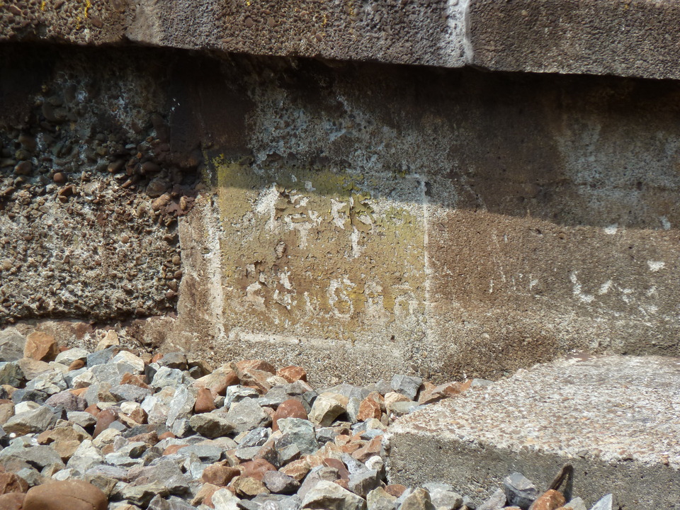 P1010975_mid.jpg