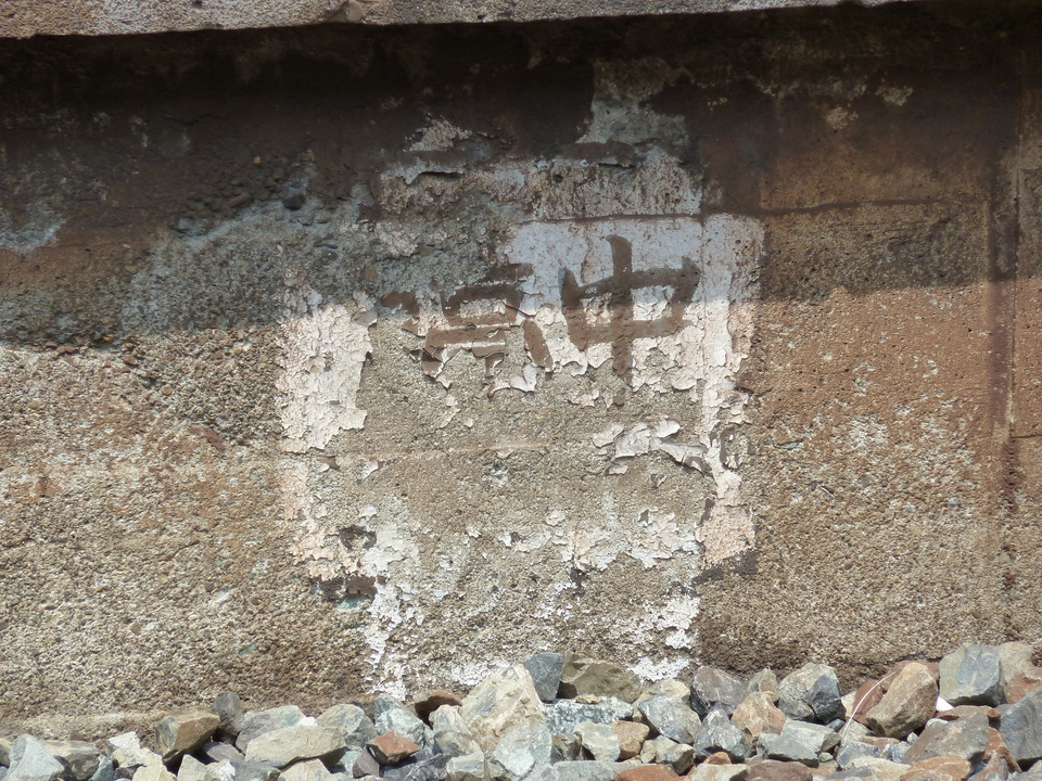 P1010976_mid.jpg