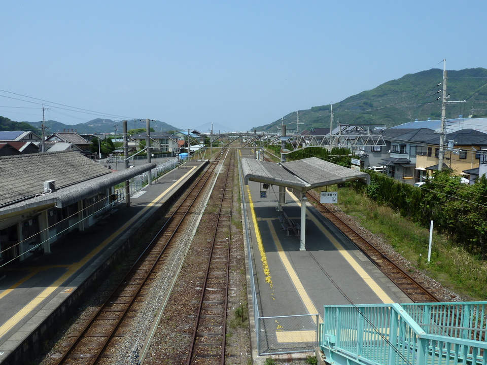 P1020003_mid.jpg