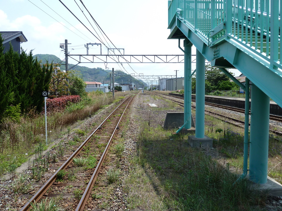 P1020005_mid.jpg