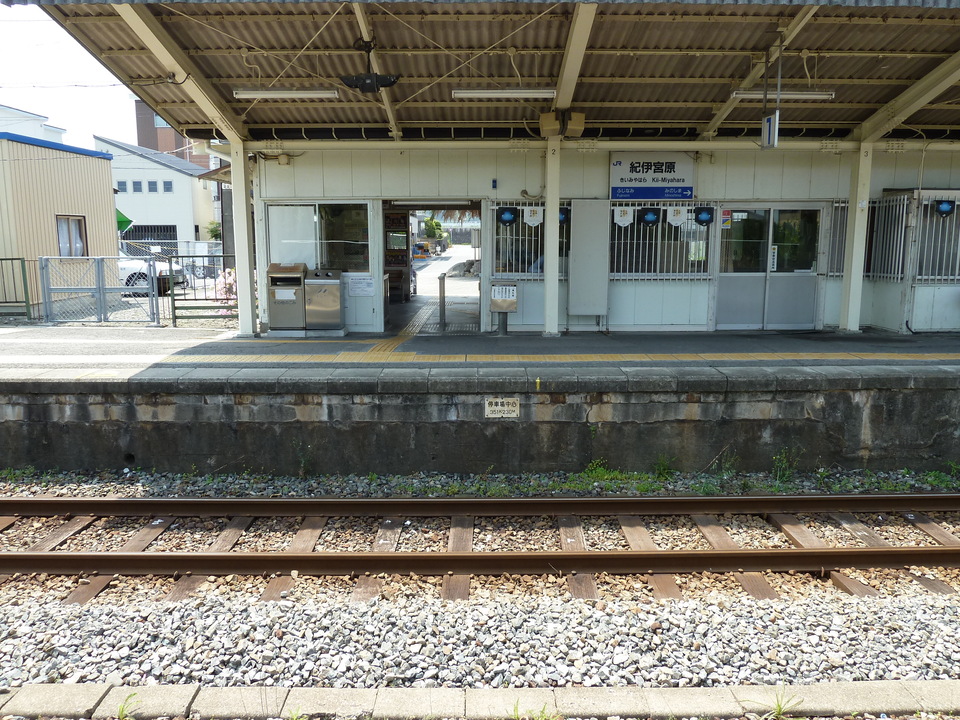 P1020007_mid.jpg