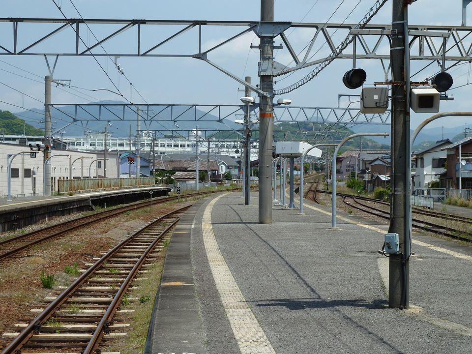 P1020036_mid.jpg