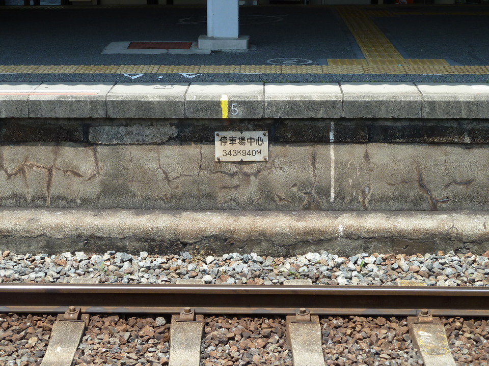P1020038_mid.jpg