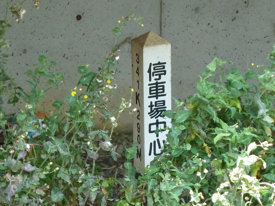P1020059_mid.jpg