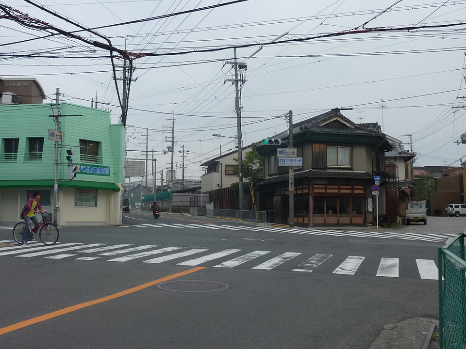 P1010935_mid.jpg