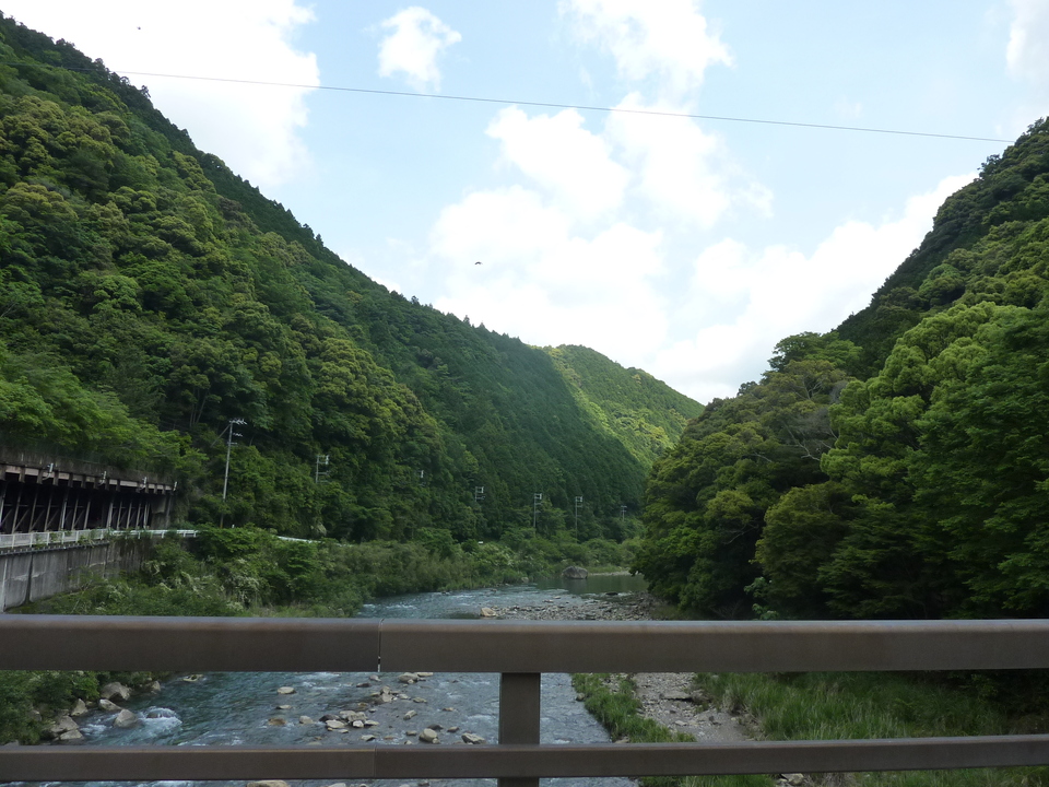 P1020107_mid.jpg