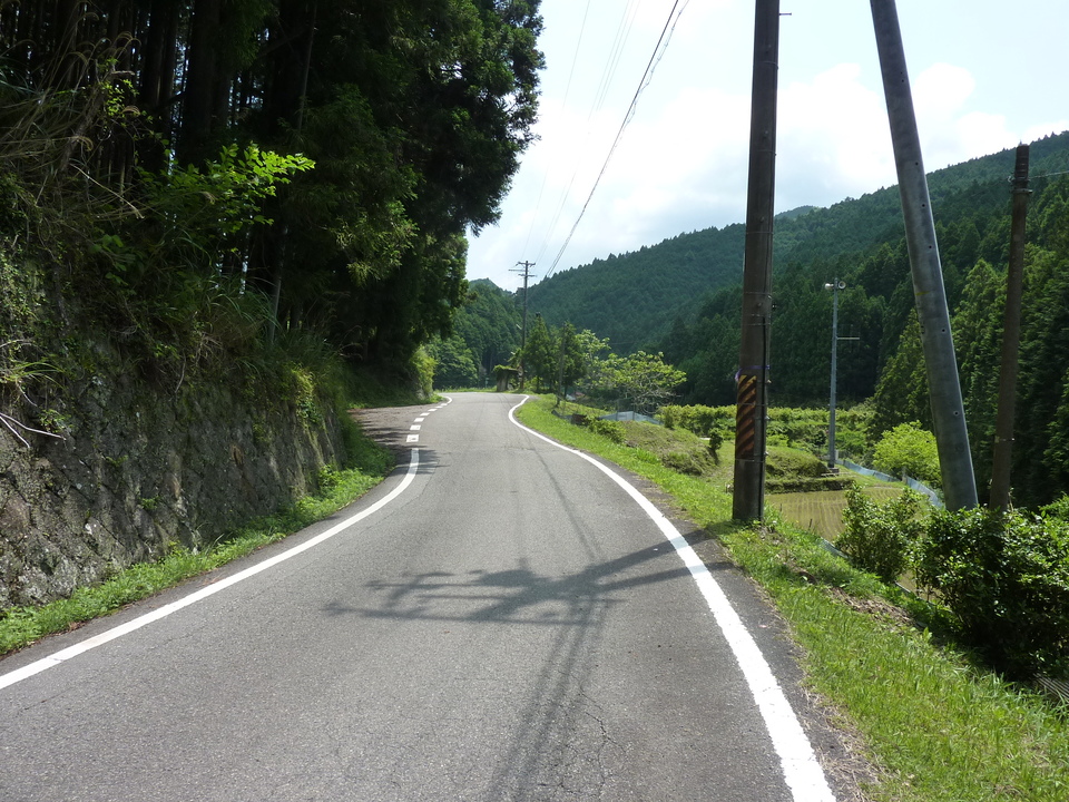 P1020110_mid.jpg