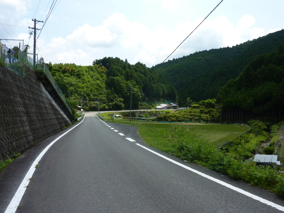 P1020111_mid.jpg