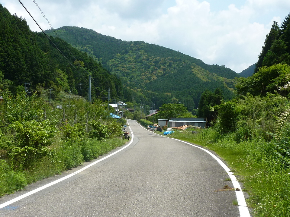 P1020112_mid.jpg
