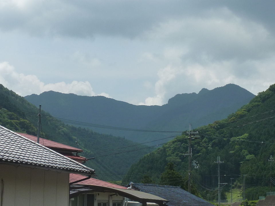 P1020116_mid.jpg