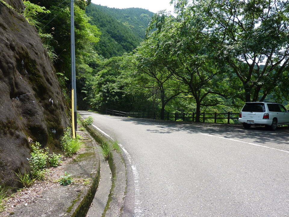 P1020126_mid.jpg