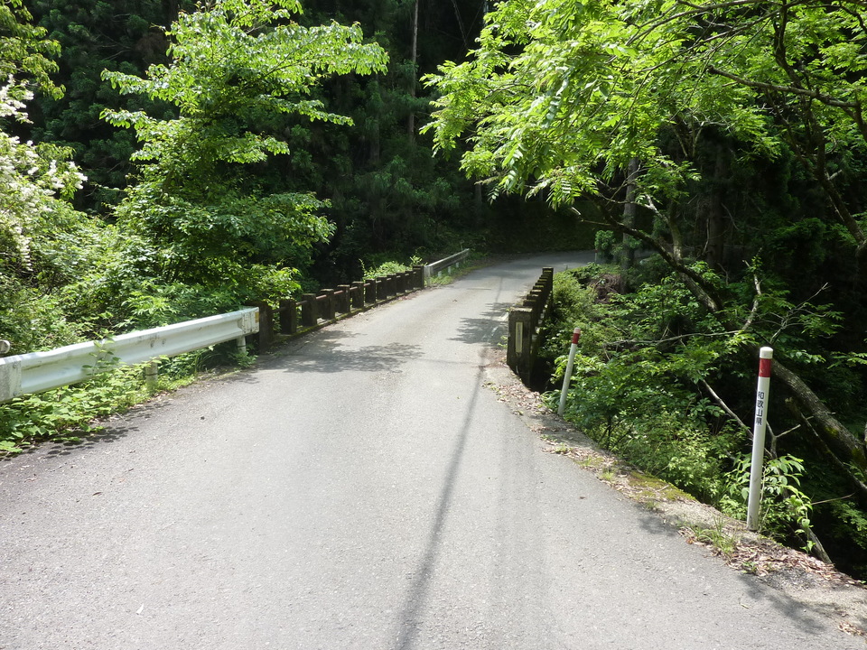 P1020128_mid.jpg