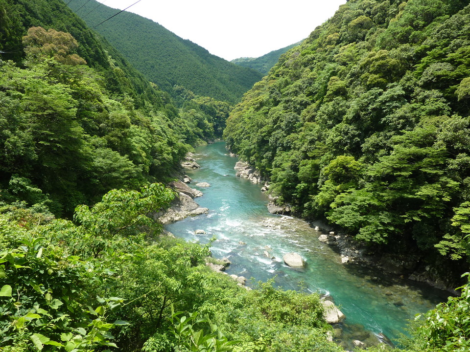 P1020131_mid.jpg