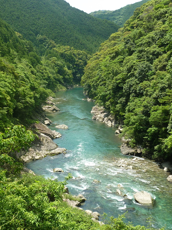 P1020132_mid.jpg