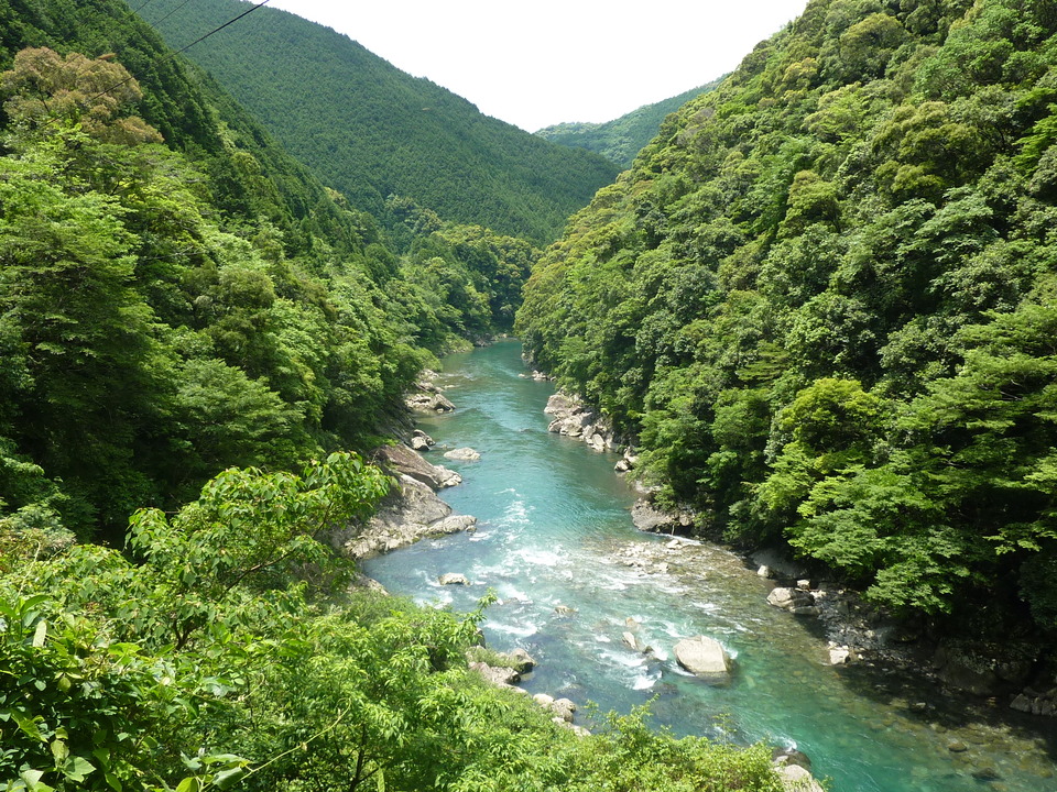 P1020133_mid.jpg