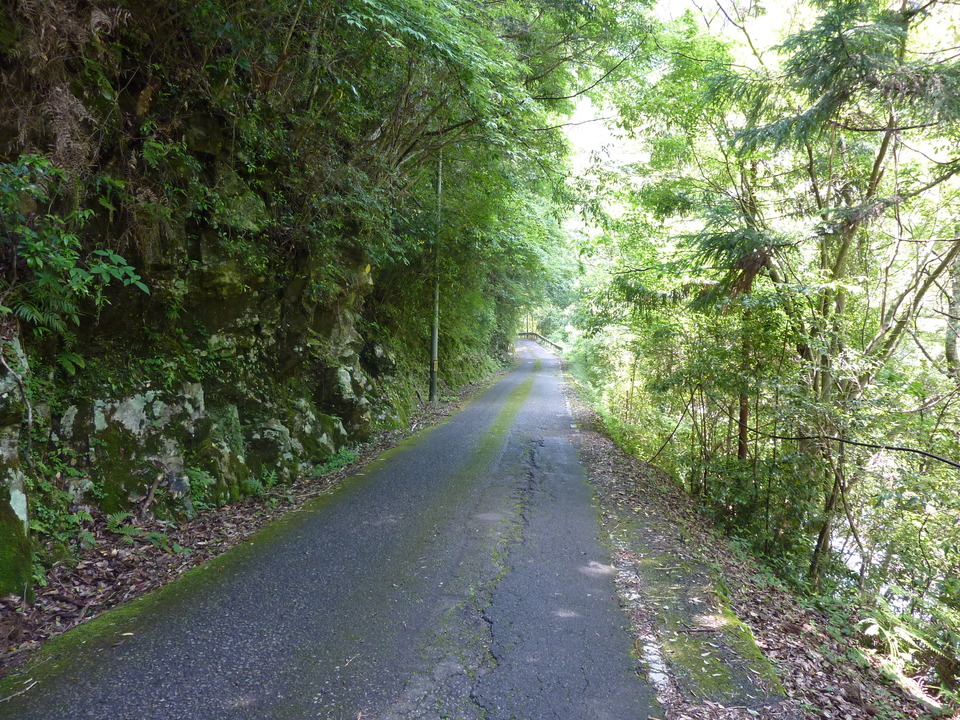 P1020155_mid.jpg