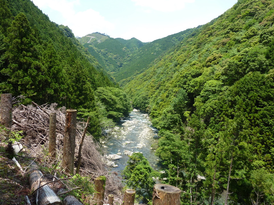 P1020174_mid.jpg