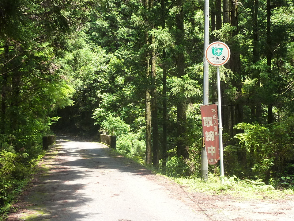 P1020180_mid.jpg
