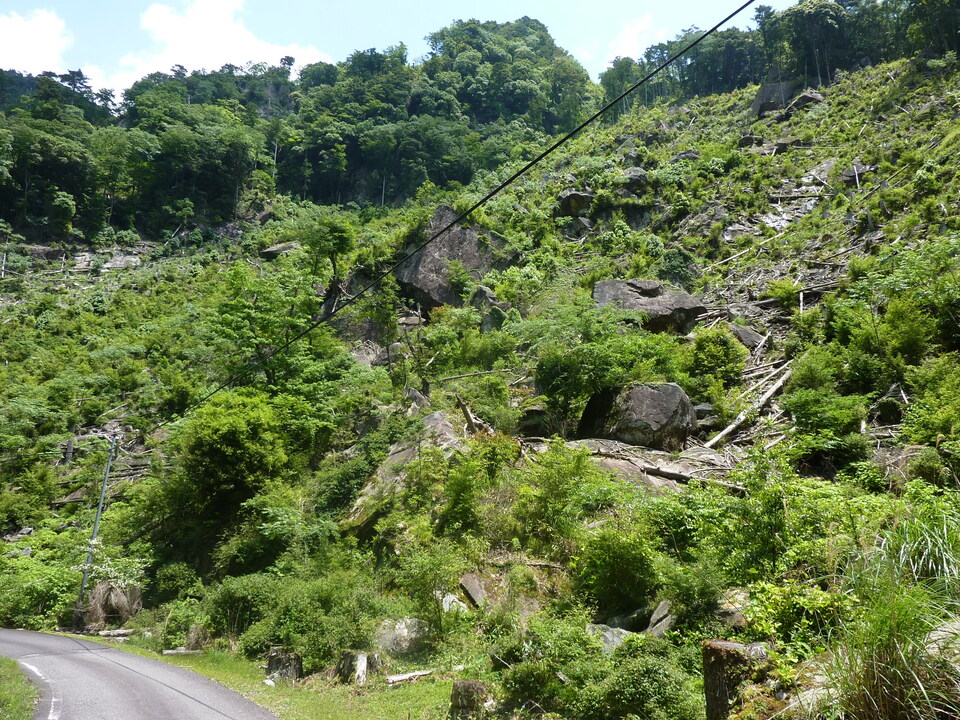 P1020181_mid.jpg