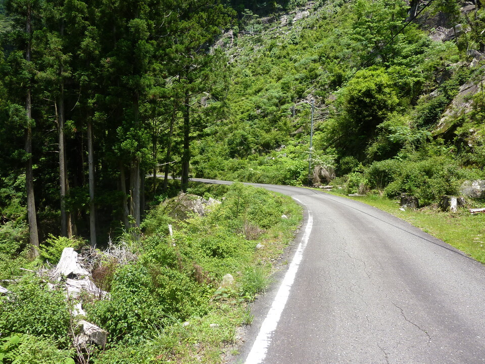 P1020182_mid.jpg