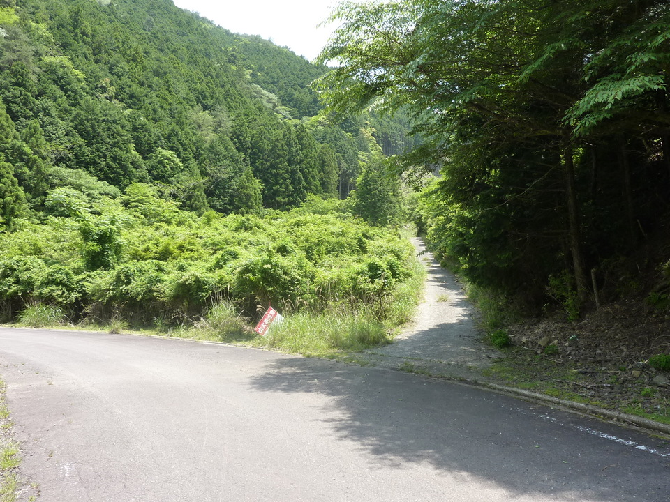 P1020186_mid.jpg