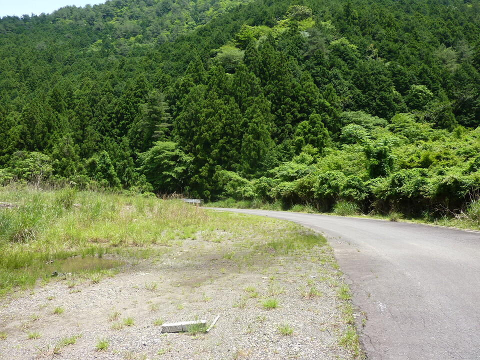 P1020187_mid.jpg