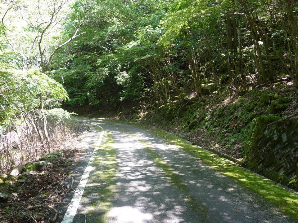 P1020192_mid.jpg