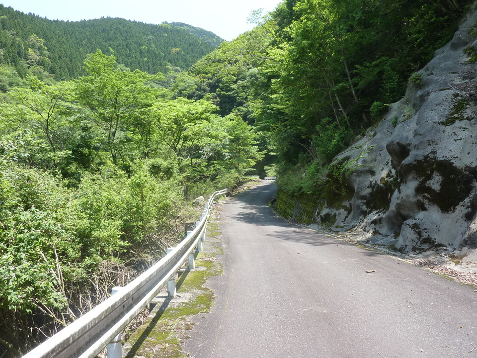 P1020194_mid.jpg