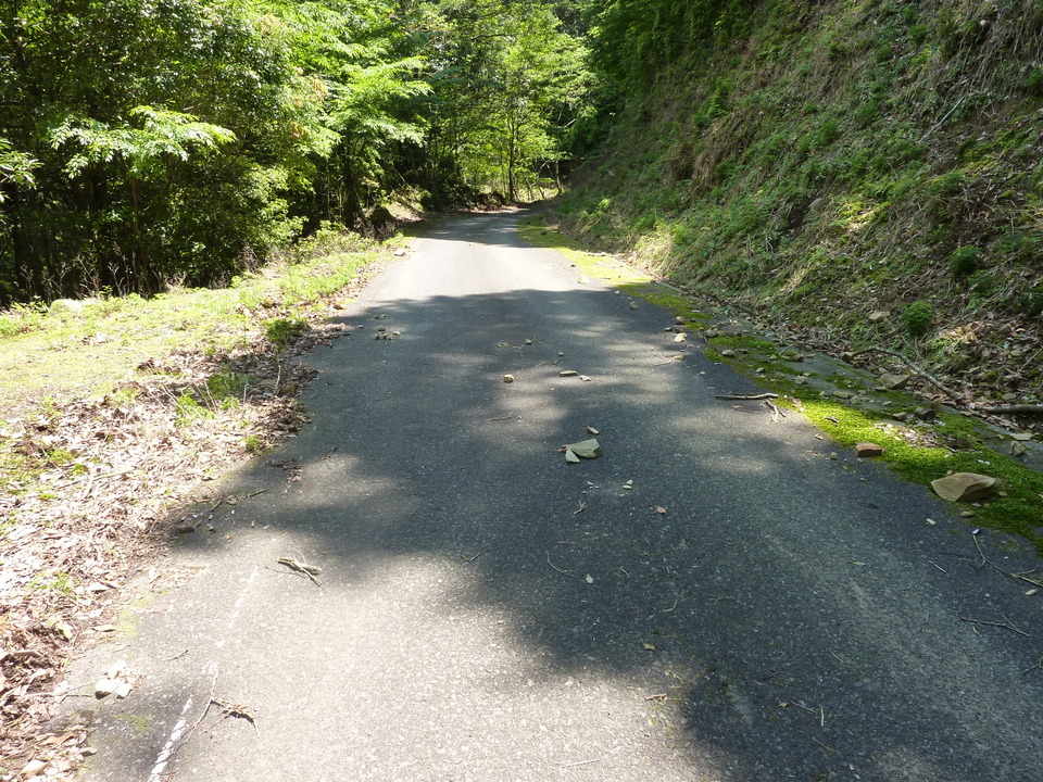 P1020196_mid.jpg