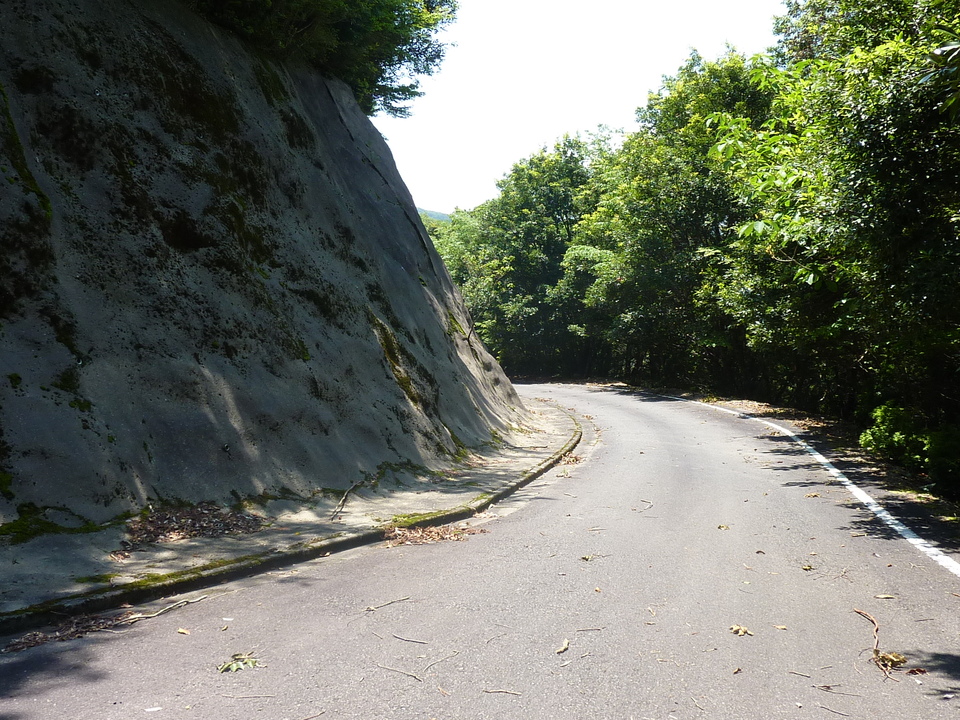 P1020199_mid.jpg