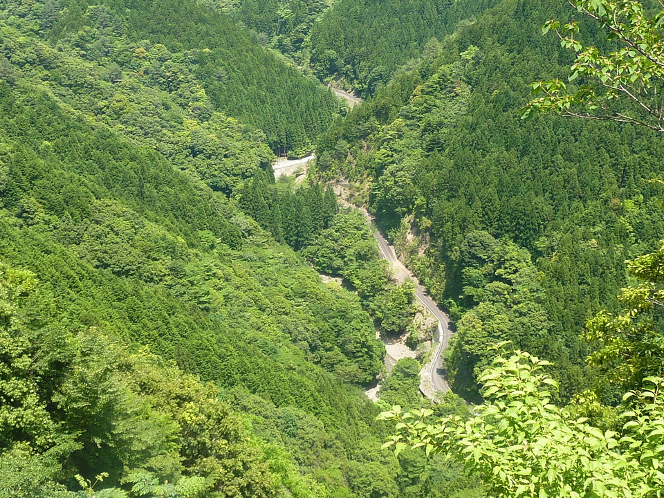 P1020202_mid.jpg