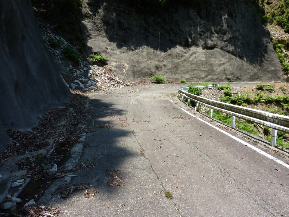 P1020204_mid.jpg