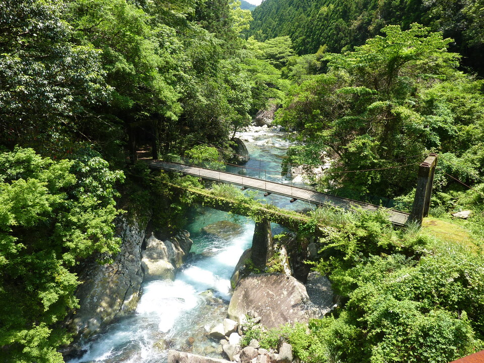 P1020208_mid.jpg