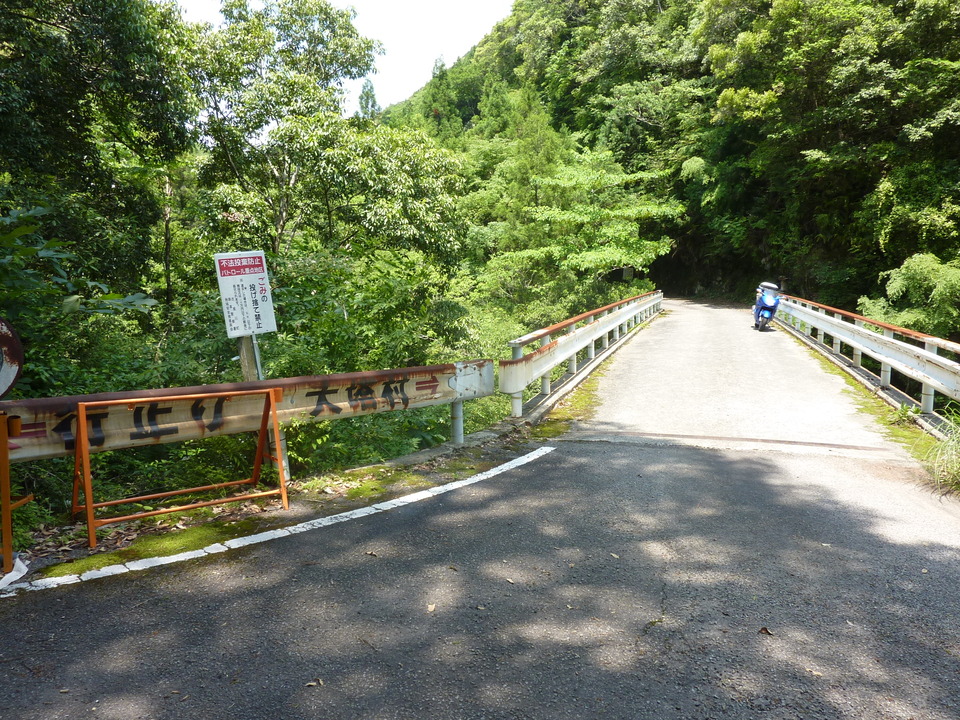 P1020215_mid.jpg