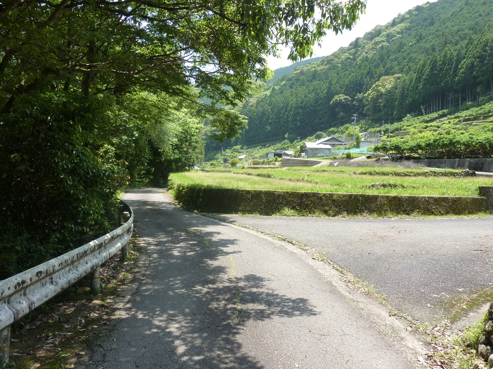 P1020218_mid.jpg