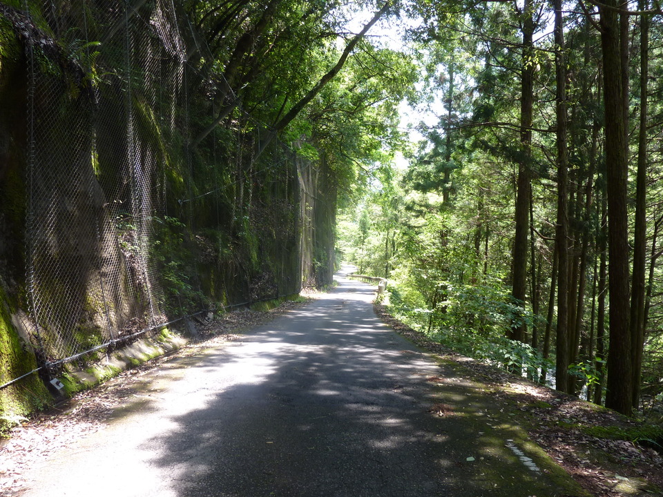 P1020224_mid.jpg