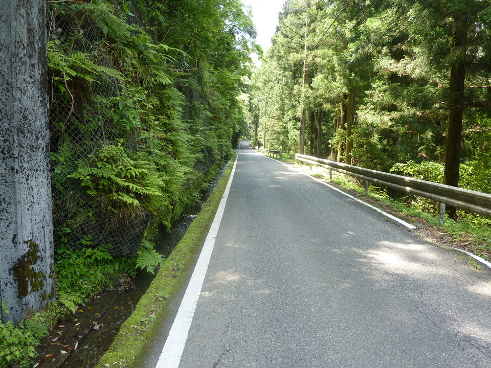 P1020232_mid.jpg