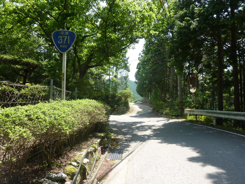 P1020233_mid.jpg