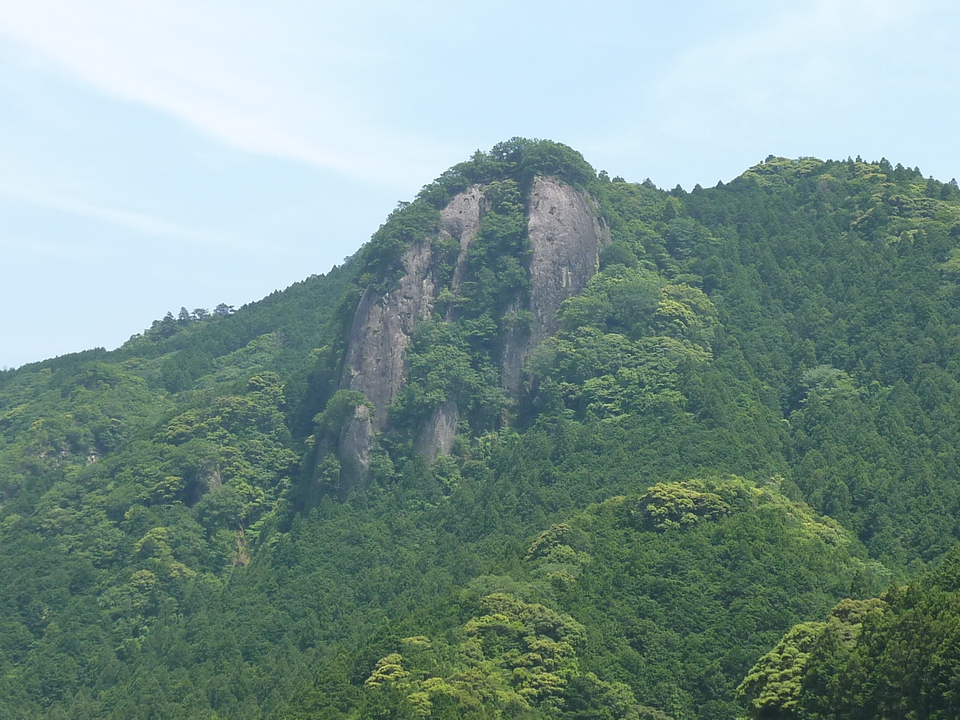 P1020239_mid.jpg