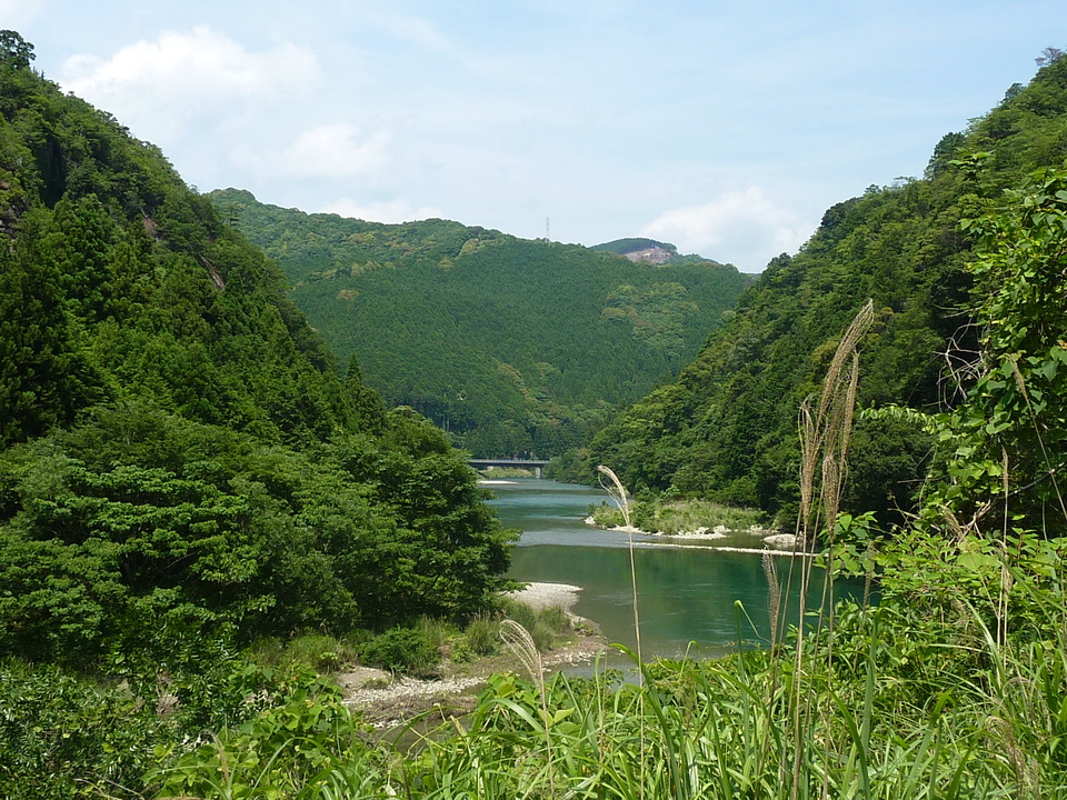 P1020252_mid.jpg