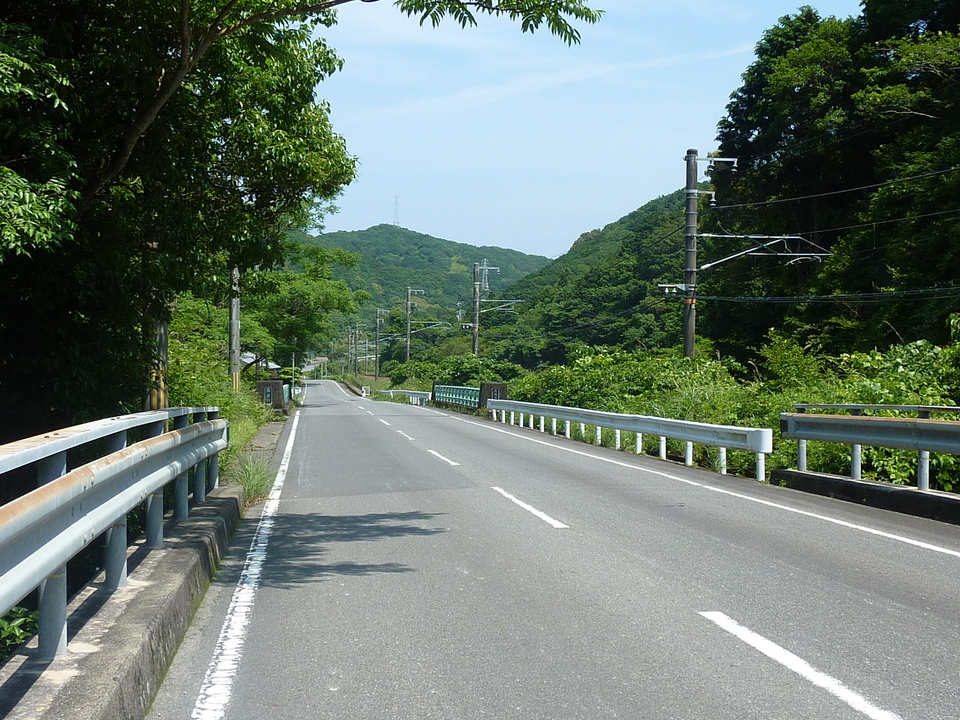 P1020259_mid.jpg