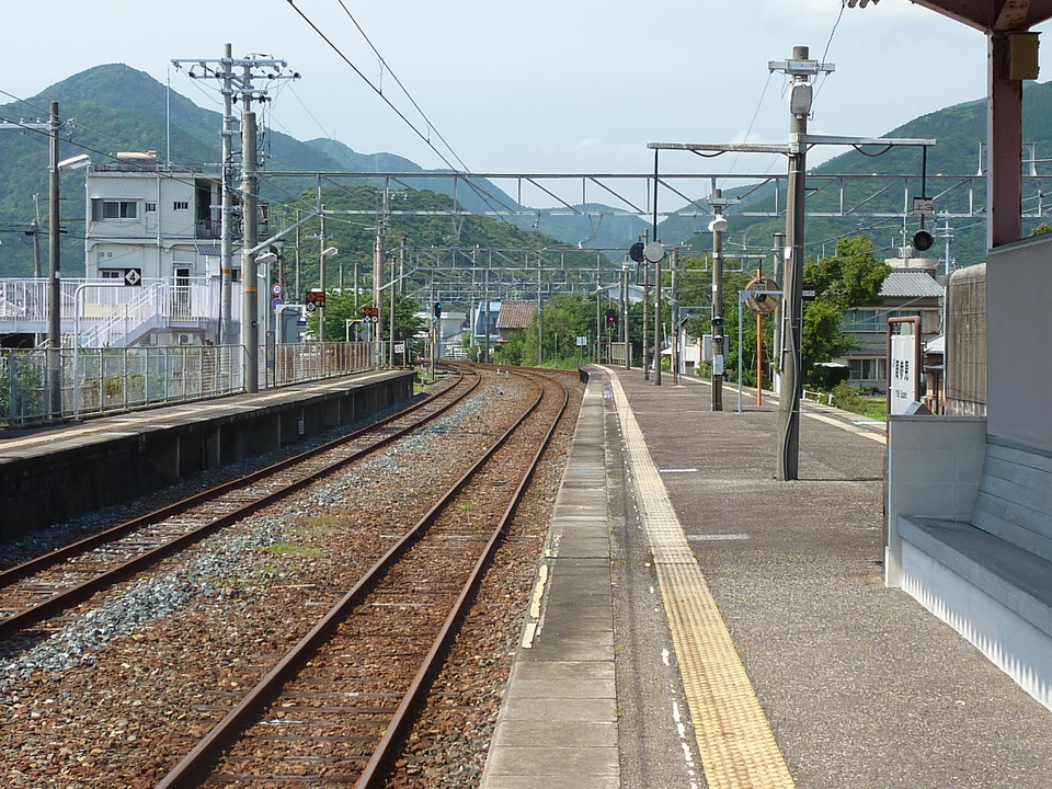 P1020267_mid.jpg