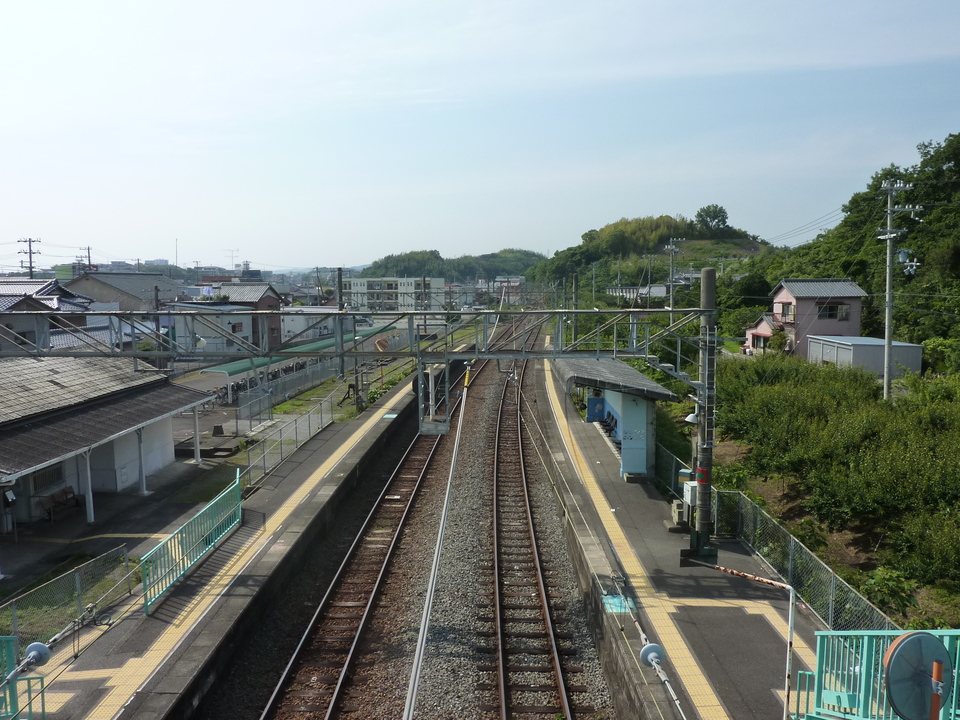 P1020282_mid.jpg
