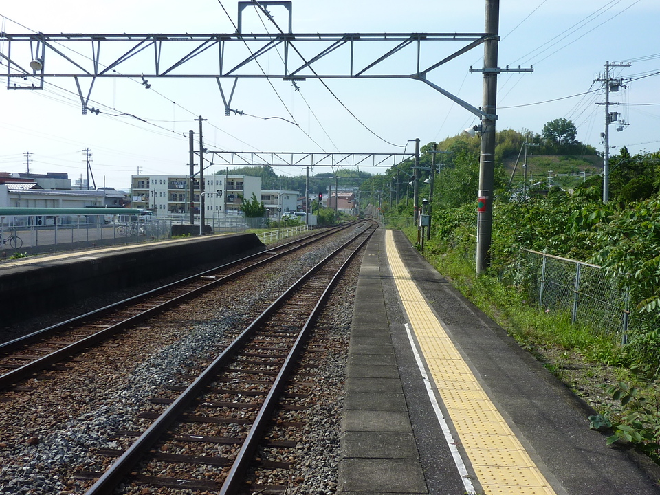 P1020285_mid.jpg